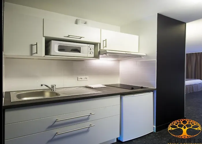 Adonis Double ディジョン